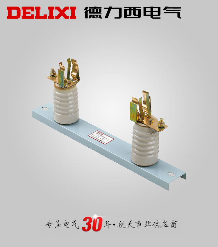 德力西高压熔断器XRNP1-12KV底座 适用于小电流高压熔断器 订单产品