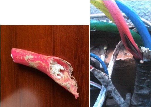 从电缆事故看铝合金导体的隐患和风险 从电缆事故看铝合金导体的隐患和风险